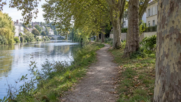 Un sentier unique longe l’eau sous les arbres dans un quartier urbain. Illustration générée par IA pour rbreak.com.
